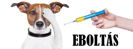 eboltas2026 banner